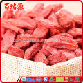 High export rate goji goji berries dried goji berry with in free samples